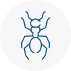 Ant Removals In Woodside