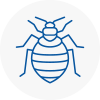 Bed Bug Extermination In Woodside