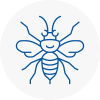Woodside Hornet Nest Removals