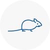 Mice Exterminators In Woodside
