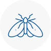 Moth Control Specialists In Woodside