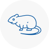 Rat Control Woodside