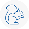 Woodside Rodent Removals