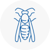 Woodside Wasp Nest Removal